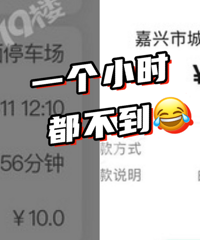 ��ͣ�����ǲ����е���˰���