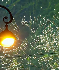 99������ �������� �����з���