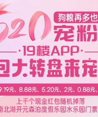 19¥APP���³�۴�ת�̿�ת����ɭ����Ʊ����ǧ���������������