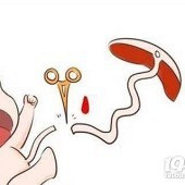 ���Ѫ�б�Ҫ������