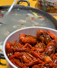 С��Ϻ�����ô�����ˣ���ҵ�һ��žſ�ţ���