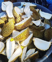 ���������ô�����𣿰칫������˶���