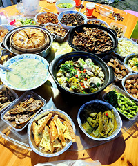 �����۲������Լ�����һ���Ӳ� �Բ�������Բ��ꡭ