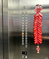 �Ϲ�˵������ھӳԸ������ɣ�Ӧ��û�����ֿܵ�������