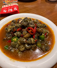 �����������С��Ϻ�治�����������о�ͦ��