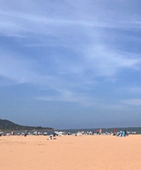 93���ع��� ����165 ����