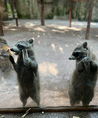 ��ѧȥ�˺���Ұ������԰ ��Ȼ������ĺ��� ����С������Ŀ���