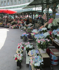 ڱ˹ϳǵCity walk ʻ