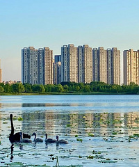 ������ߣ��������Կ� �Լ�����С���������ιһ��