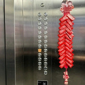 ������ھ��ǳ�����