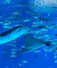 ͬһ����ѧ�ĵط� 3��ѧУ3������