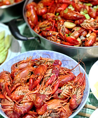 �����������ζ����Ϻ������������ĸ���