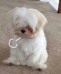 ��81�������ʿ������170���ϣ����ȫ���Ʊ��ƣ�����㣡