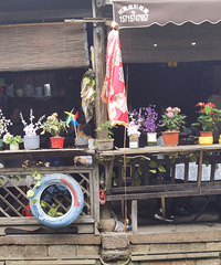 �㽭����кö��㰡������ĸ��ζ����ġ�