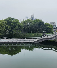 �㽭����кö��㰡������ĸ��ζ����ġ�