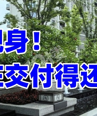 �������ϣ�����ׯ���������ƺ�����