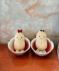 �쵽����������֤����get���»���