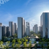 �Ƽ����Ͽ��������ˣ�