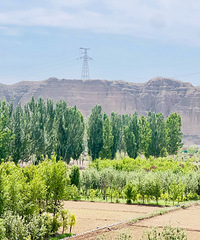 ��Ƥ���ӡ�������������...��ɳĮ��̫ˬ��