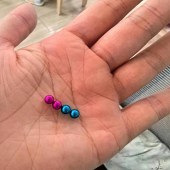 �������׶�԰�����