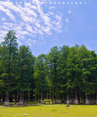 �Լ�������ˮɼ�� ����ȥ��С�½��ĸо��������Ŵ�ׯ����СϪ��