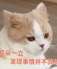 一个可悲事实:底层人终其一生 可能都找不到幸福