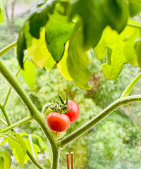 ��̨�ֵķ�������