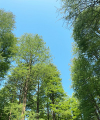 ��ɽ��ˮ�÷�⣡����ɽ��ֱ���续һ����