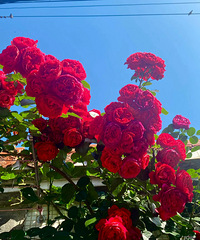 ������������һ�¸����׵��Ȱɣ����������� ����ȫ��