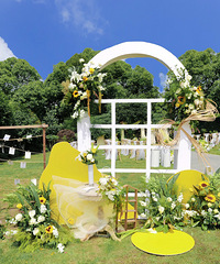 ��ƺ��������������ǰ�����̨ ���������మ��ʢ��