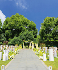 ��ƺ��������������ǰ�����̨ ���������మ��ʢ��