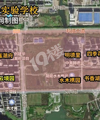 �����廪����ѧ�����֣��㲻�û�Ӱ����������֣�