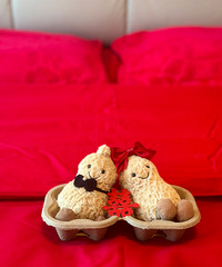 jellycatС����Ҳ̫�ʺϽ���˰ɣ����»���