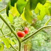 ��̨�ֵķ�������