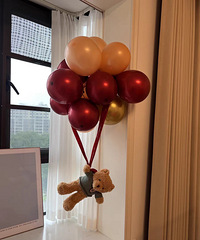 ǿ���Ƽ���Ҷ����Сװ�� Ӫ�������ر��Ƭ