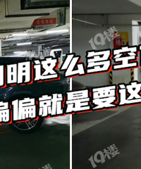 ��ʱ�ݳ�������������