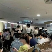 ��ֳ��������Ķ�