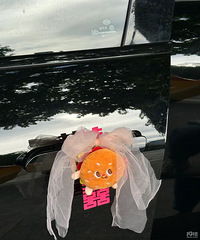 ������ �����˿�������������������������е�ɰ�������