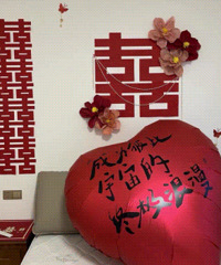 ǿ���Ƽ���Ҷ����Сװ�� Ӫ�������ر��Ƭ