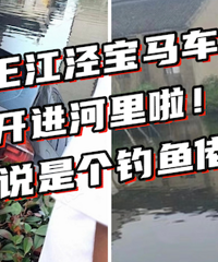 �������� �е���Ѫ����