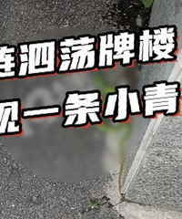 �ۼ������˵����Ҷ�࣡�²��£�