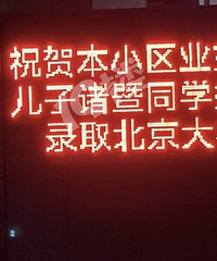 ���쵼��С�ڵĶ��ӣ�ţ����