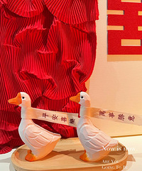 װ�λ鷿����Ҫ���Ƿ�Χ�� ��׼��һЩС��� ���Ķ����Ƭ