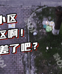 ��С��������������������ӡ�