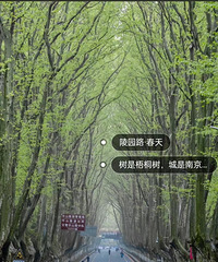 ���뼸ʮw�ҹ˼�