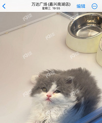 ��������������תת���ǰ쿨��ֵ�������ȳ谮������ע�Ⱑ��
