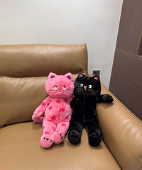 ��ѹ�����޺���