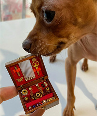 ���������޾ű��������ֿɰ�