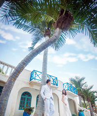 �����ҵĻ�ɴ�� ��ʵ���ڿ�������ͦ�ÿ���