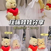 DIYѹ������̫�ɰ���